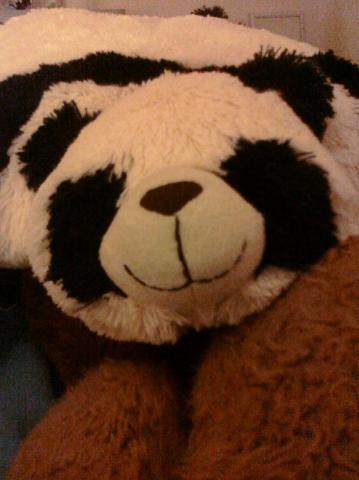 Bamboo Bamboo